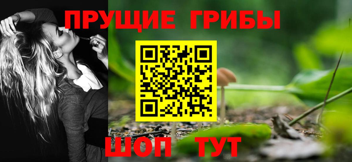 Галлюциногенные грибы ЛСД Богородицк
